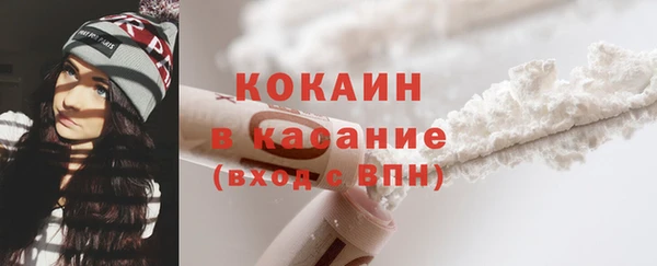 мдпв Богданович