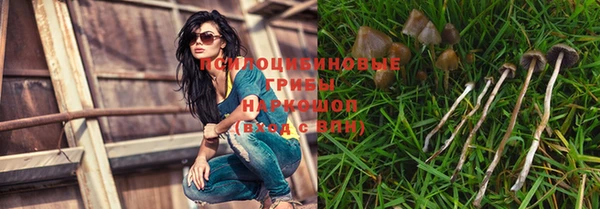 бошки Богородицк
