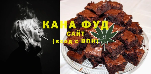 мдпв Богданович