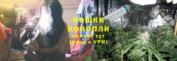 бошки Богородицк