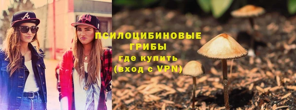 мдпв Богданович