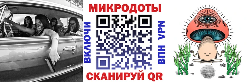 Купить где  Верея  Псилоцибиновые грибы Psilocybine cubensis 