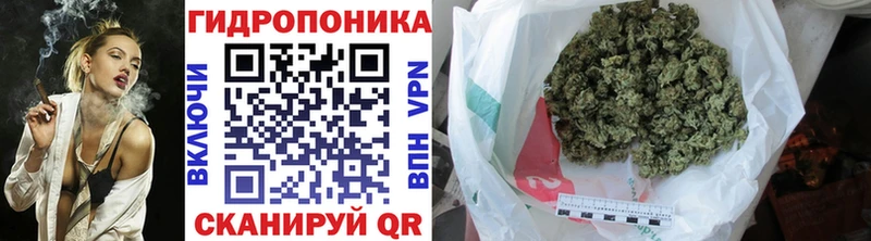 Каннабис ГИДРОПОН Купить где Верея